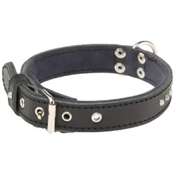 Martin Sellier Class (M, Hund, Allgemein, Spazieren), Halsband + Leine