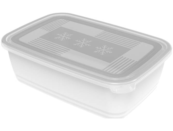 Rotho Freeze Gefrierdose 3.7l