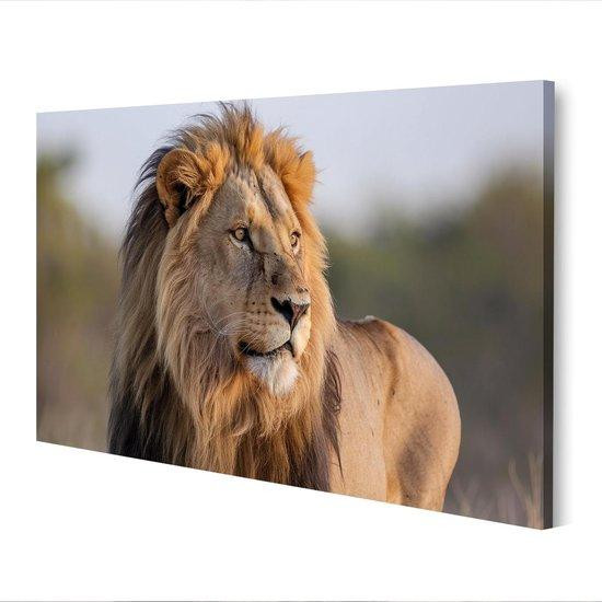 Canvas Muurdecoratie Gouden Leeuw Dierenprint Wandkunst 80 x 40 cm