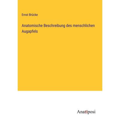 Anatomische Beschreibung des menschlichen Augapfels, Gebundene Ausgabe von Ernst Brücke, Anatiposi Verlag, 978-3-382-60281-9