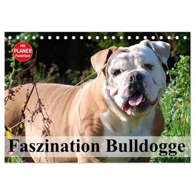 Faszination Bulldogge (Tischkalender 2027 DIN A5 quer), CALVENDO Monatskalender