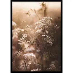 Bild Image ca. 50x70cm