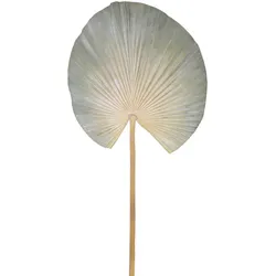 Chic Antique Kunstpflanze Palmen Blatt, H74,5/B30,5 cm, staubgrün