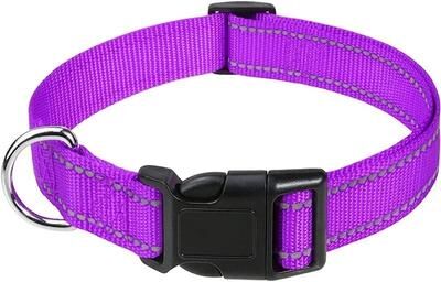 Uplifted Finds Small Dog Choker Collar Decorative Puppy Neck Accessory xl purple