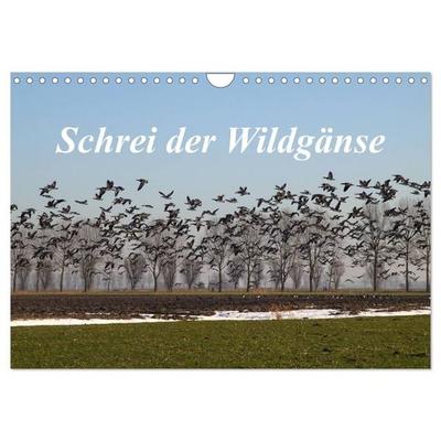 Schrei der Wildgänse (Wandkalender 2027 DIN A4 quer), CALVENDO Monatskalender
