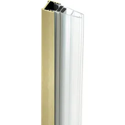 Neuesbad Magnetprofil für Walk-In, Gold gebürstet NB1DEKTJR00X1