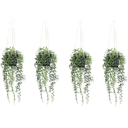 CREATIV green künstliche Pflanze Senecio herreianus Hängeampel ca 55cm, 4er Set