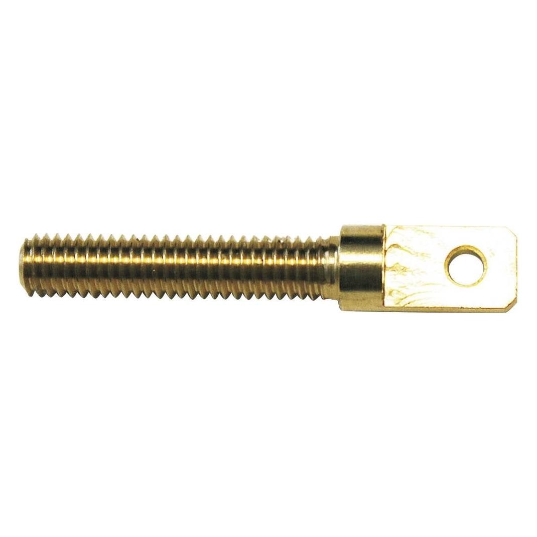 Modelcraft Messing Augenschraube mit Auss (11589/RM-30)