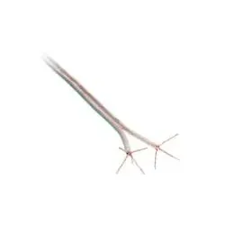 ACV 51-240-105 Lautsprecherkabel 2 x 4,00 mm transparent/mint 100 Meter