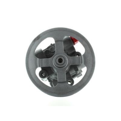 SPIDAN Hydraulikpumpe, Lenkung 54793 für Chrysler Citroën MITSUBISHI