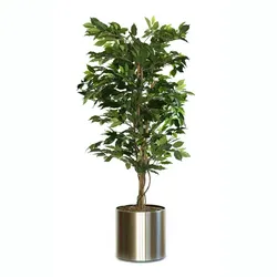 Künstliche Pflanze Ficus Benjamina 150cm Grün ohne Übertopf
