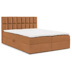 BOXBETT Dominga