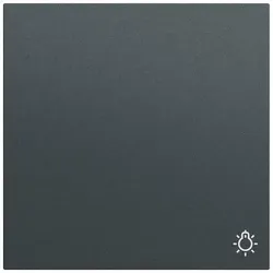 Gira Wippe Schalter anthrazit lackiert Licht 328573