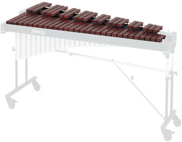 Studio 49 Bar Set RXC 3050/V A=443Hz