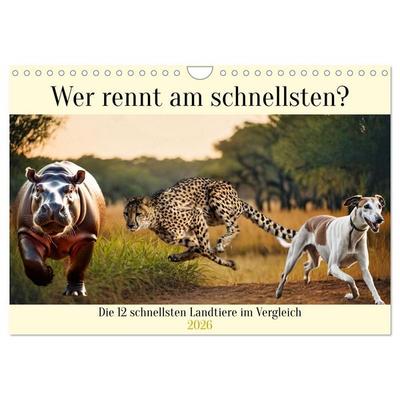 Wer rennt am schnellsten? (Wandkalender 2026 DIN A4 quer), CALVENDO Monatskalender