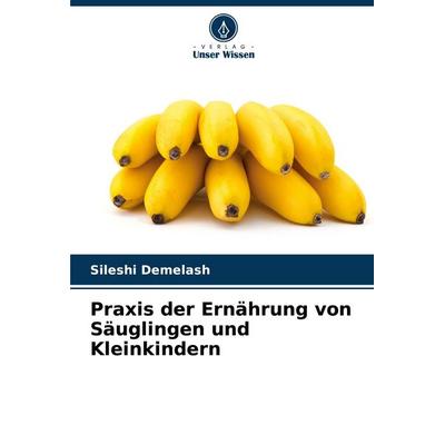 Praxis der Ernährung von Säuglingen und Kleinkindern, Taschenbuch von Sileshi Demelash, Verlag Unser Wissen, 978-620-7-34017-0