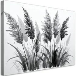 LEINWANDBILD Pampasgras 90x60cm