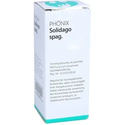 Phönix Solidago spag. Mischung