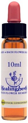 NATUR Srl GENTIAN ESS 10ML INGL HERBS