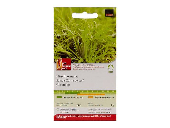ProSpecieRara Bio Hirschhornsalat