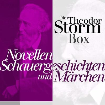 Novellen, Schauergeschichten und Märchen - Theodor Storm, Audio, 9783955970239