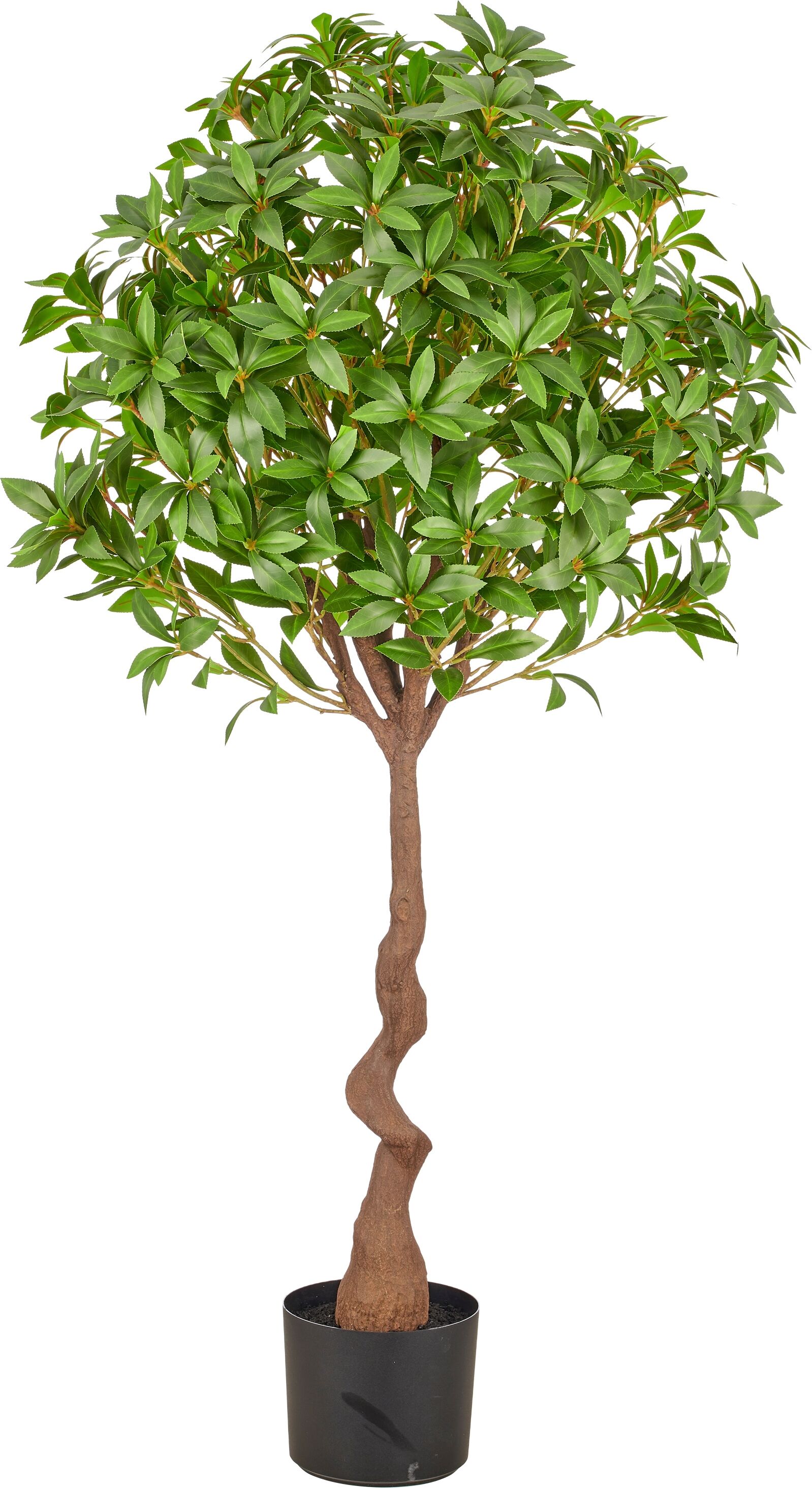 Kunstbaum CREATIV GREEN "Pieris", grün, H:125cm, Obermaterial: 100% Kunststoff, Kunstpflanzen, als Hochstamm