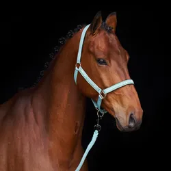 HV Polo Halfter HVPNena Aqua Sky, Größe: Fohlen