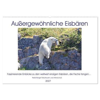 Das Leben der etwas 'anderen' Eisbären! (Wandkalender 2027 DIN A2 quer), CALVENDO Monatskalender