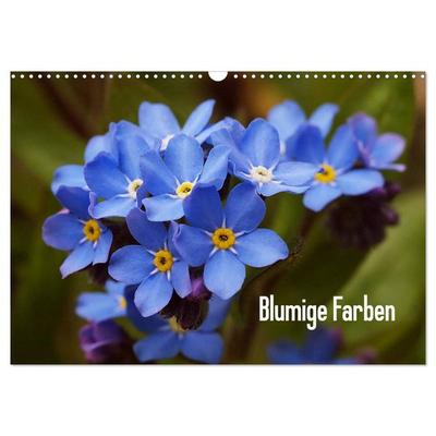 Blumige Farben (Wandkalender 2026 DIN A3 quer), CALVENDO Monatskalender