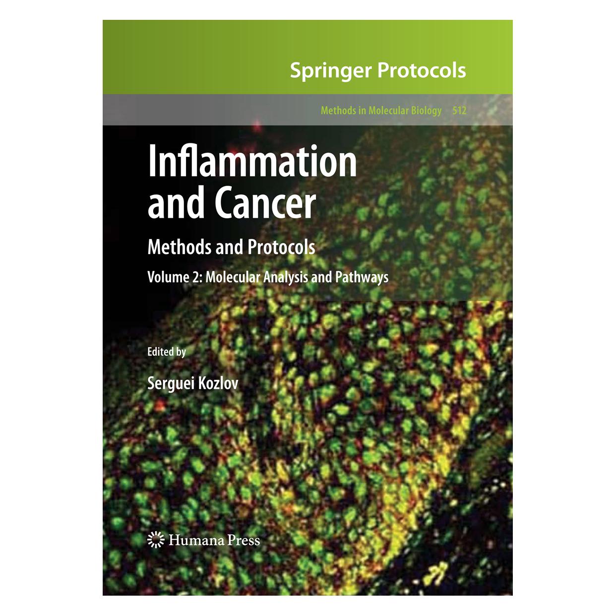 Springer Inflammation and Cancer (Englisch, Softcover, Serguei V. Kozlov, Serguei/ V Kozlov, V Kozlov) (55402434)