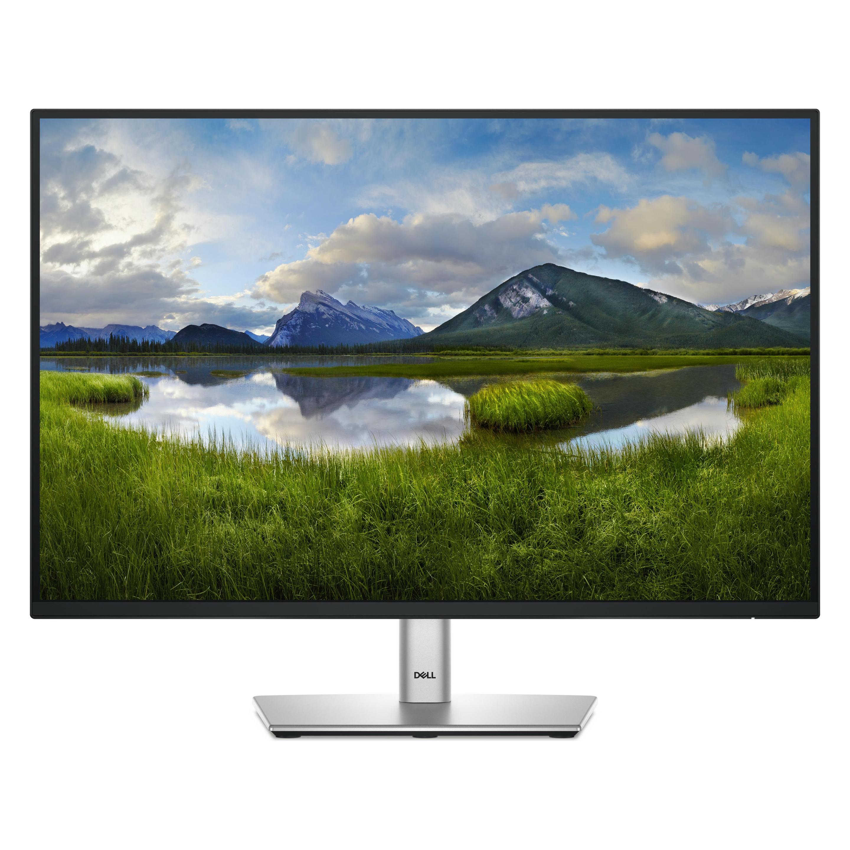 Dell Es P2425 Computer Monitor (1920 x 1200 Pixel, 24") (P2425)