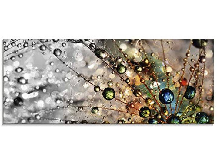 ARTland Wanddeko Glasbilder Wandbild Glas Bild einteilig 125x50 cm Querformat Natur Botanik Blumen Pusteblume Frühling Wassertropfen Modern T9IN