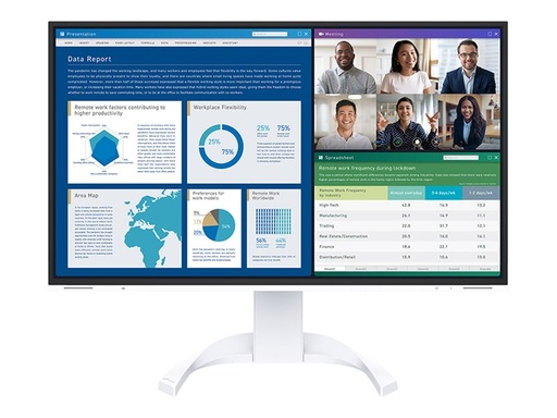 EIZO FlexScan EV2740X - Mit FlexStand - LED-Monitor - 68.5 cm (27") (EV2740X-WT)