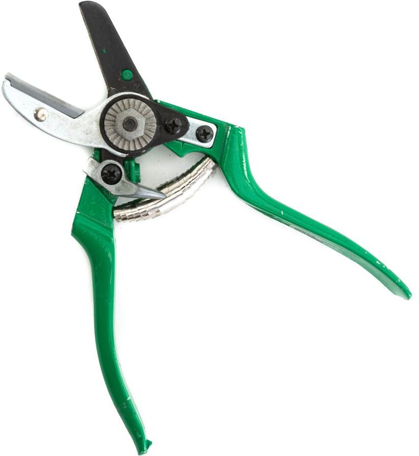 TrendLine Amboss Gartenschere