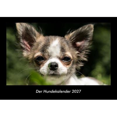 Der Hundekalender 2027 Fotokalender DIN A3