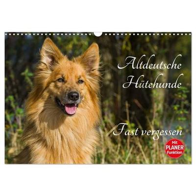 Altdeutsche Hütehunde - Fast vergessen (Wandkalender 2027 DIN A3 quer), CALVENDO Monatskalender