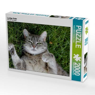 CALVENDO Puzzle Lustige Katze | 2000 Teile Lege-Größe 90x67cm Foto-Puzzle für glückliche Stunden