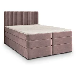 BOXSPRINGBETT FELBIO 180x200 cm mit Matratze und Topper - Rosa