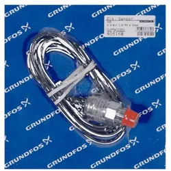 Grundfos Zubehör 405168 für Unterwasserpumpe, Rp 1/2