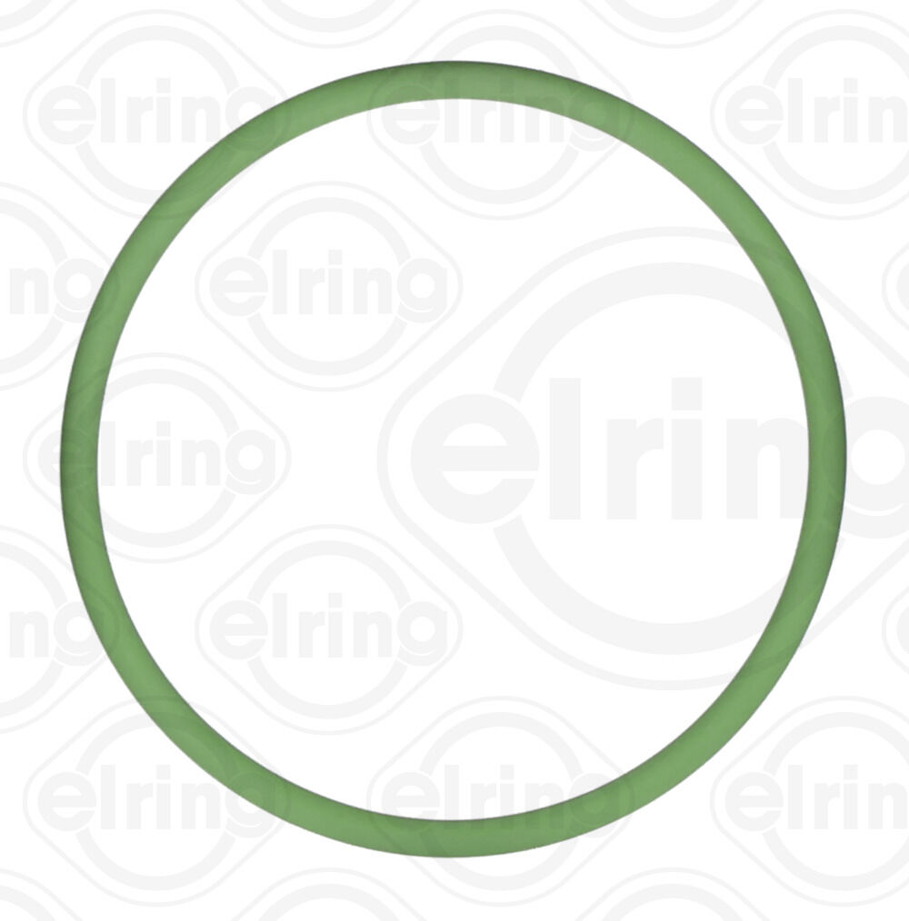 Elring Dichtring B66.260