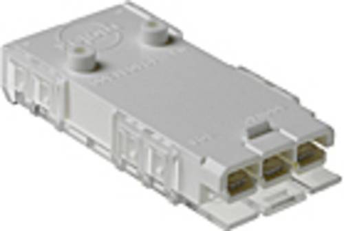 Molex Buchsengehäuse-Kabel 194031300