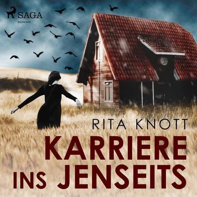 Karriere ins Jenseits (Ungekürzt) - Rita Knott, Audio, 9788726184891
