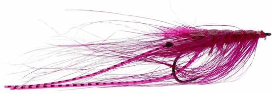 Pattegrisen - Den Originale Spey Flue 42