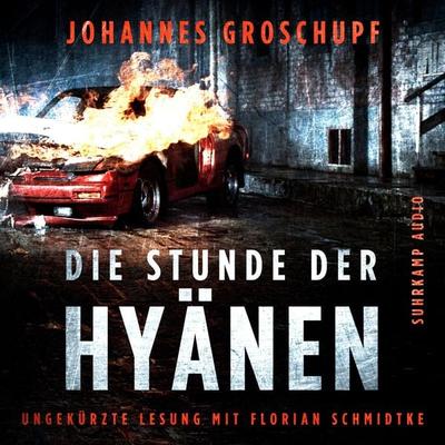 Die Stunde der Hyänen - Johannes Groschupf, Audio, 9783518920343