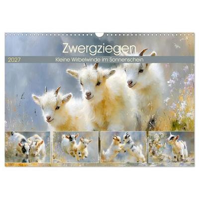 Zwergziegen. Kleine Wirbelwinde im Sonnenschein (Wandkalender 2027 DIN A3 quer), CALVENDO Monatskalender