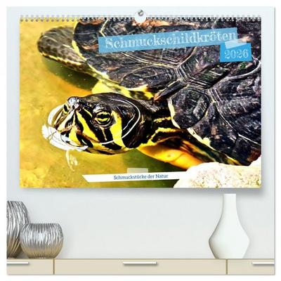 Schmuckschildkröten - Schmuckstücke der Natur (hochwertiger Premium Wandkalender 2026 DIN A2 quer), Kunstdruck in Hochglanz