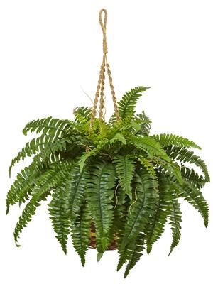 Nearly Natural Boston Fern 33-inch High Hanging Basket