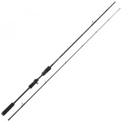 Baitcast Hecht Baitcast Hecht, Baitcast Hecht / 195cm 25-70g