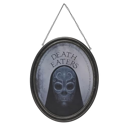 Harry Potter Dark Arts gespiegelde plaquette Dooddoener Wanddecoratie Disney