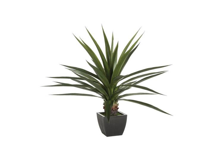 Agave géante H. 130 cm vert